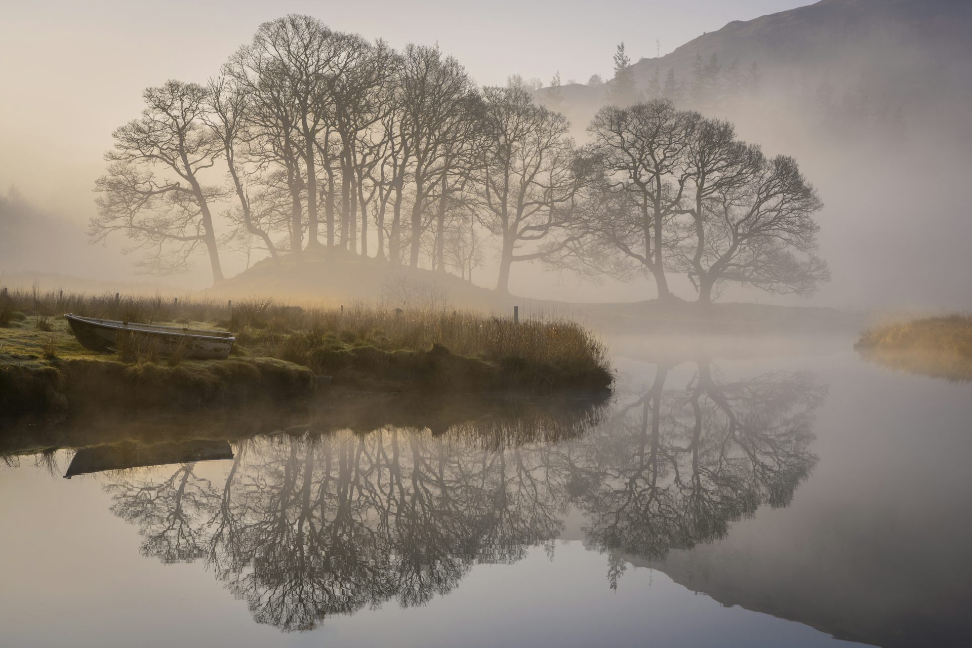 Bare trees in morning mist, mirrored in a still river