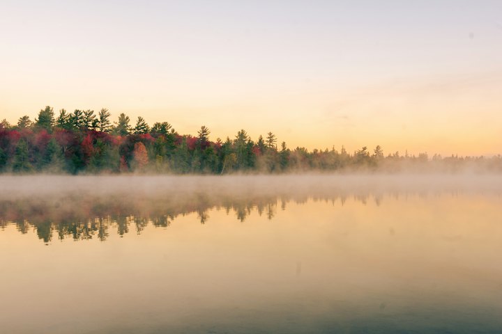 Autumn trees mirrored in a misty lake at sunrise