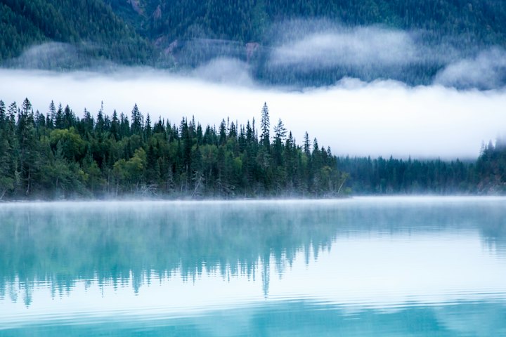 Pines above a band of fog on a glacial lake